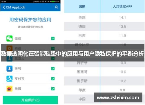 数据透明化在智能鞋垫中的应用与用户隐私保护的平衡分析